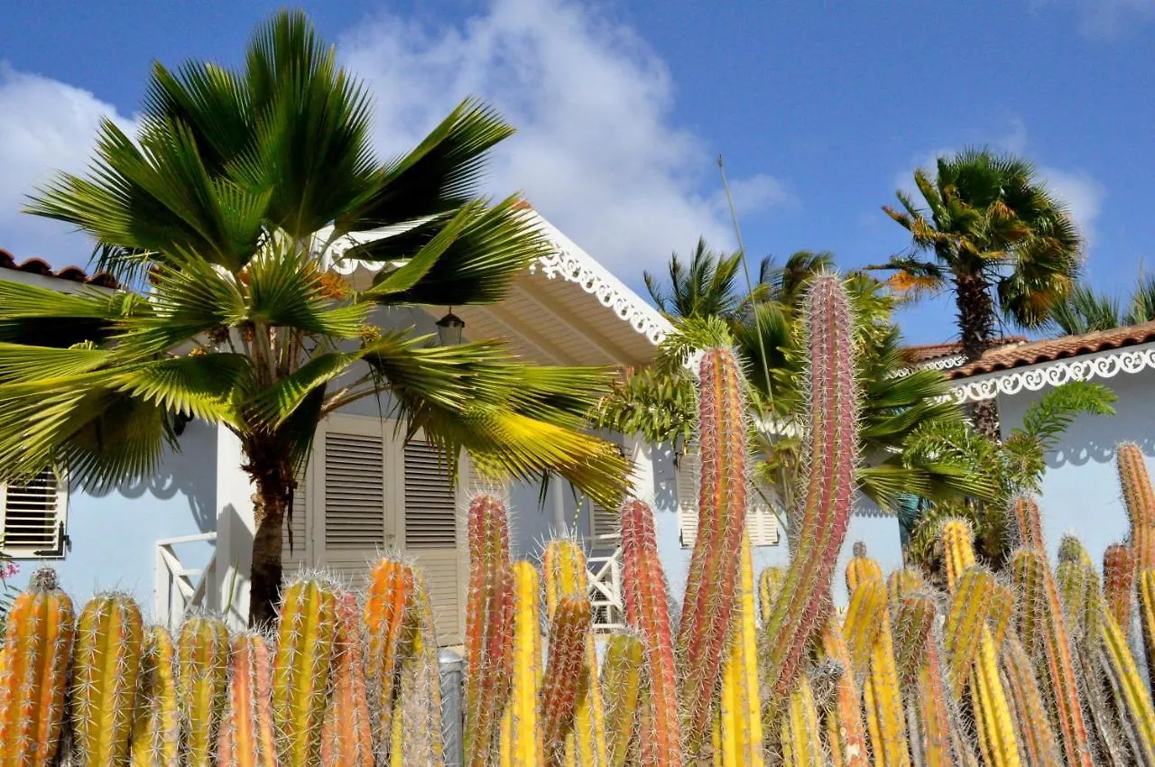 Starshipvillas Bonaire Kralendijk  Villa Kralendijk (Bonaire)